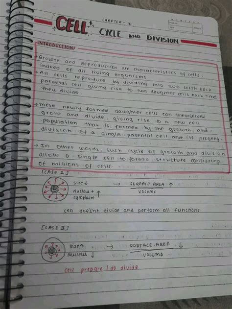 Cell Cycle and Division Notes 的图像结果