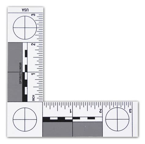 Actual Size Forensic Ruler Printable - Printable Templates