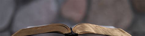 Image result for Read Scripture Luke
