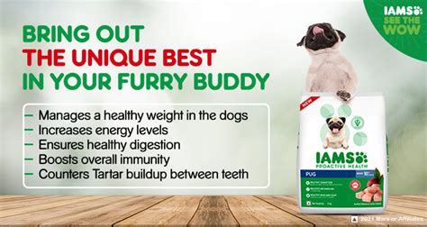 Why IAMS Dog Food Has Become A Popular Brand Among Dog Owners? – Petsworld