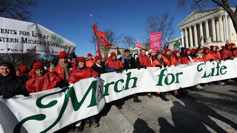 site:angelusnews.com 的图像结果