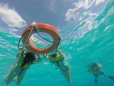 ACUARIO TOURS - All You Need to Know BEFORE You Go 2026 (with Photos ...