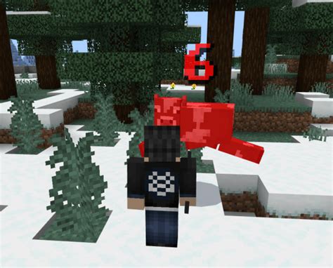 How to See Damage Minecraft Java 的图像结果