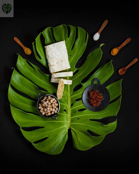 Bulk Chickpea Tempeh (Original) – TEMPEHCHENNAI