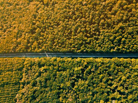 Examples of the Technology Ladscape 的图像结果