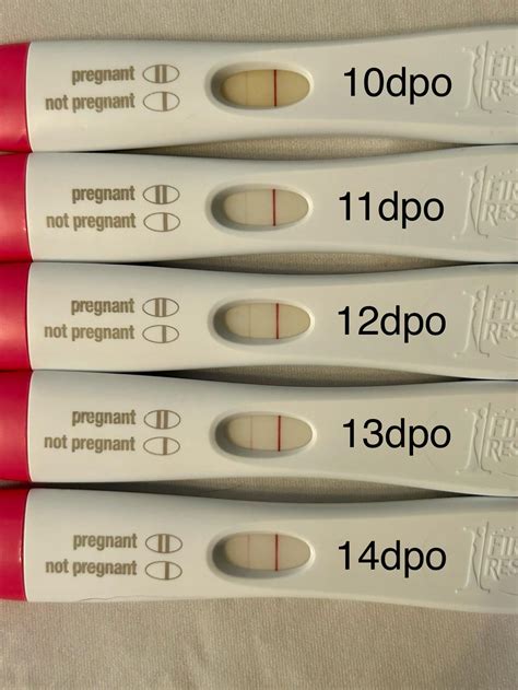 Slow progression 10-14 dpo. HCG 35 at 13 dpo. Should I expect a ...