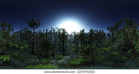 Environment Map 的图像结果