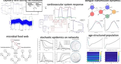 Mathematical Scientific Modelling Website 的图像结果
