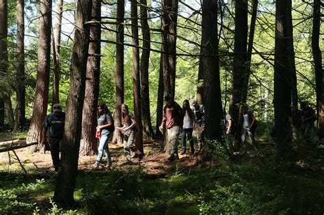 Observation 的图像结果