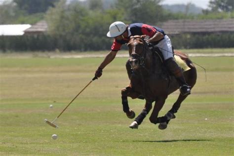 Polo Experience in Buenos Aires 2022 - Viator