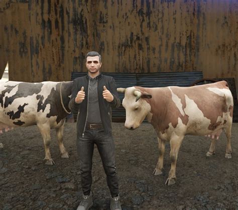 Image result for Fivem Chicken Script