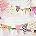 AMFIN® Party Flags Banner for Birthday Decoration, Party Flags ...