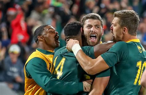 Image result for Springboks vs England