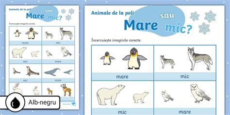 Animale de la poli: Mare sau mic – Fișă de activitate