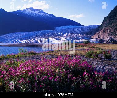 Image result for Computer Runway GUI