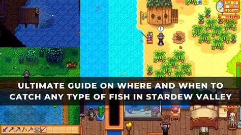 How To Catch Stardew Valley Salmon Fish Location How To Catch Rainbow ...