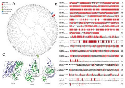 Toxicity of Bacillus thuringiensis Strains Derived from the Novel ...