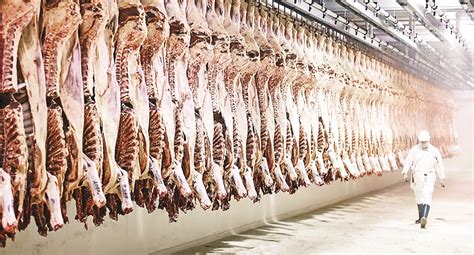 Image result for Beef Processing Process