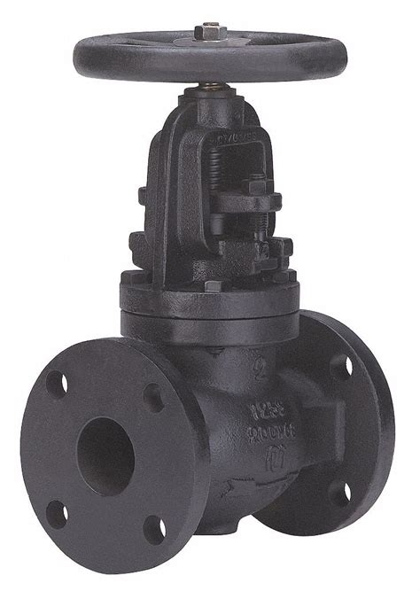 Buy Milwaukee Valve Flange x Flange Globe Valve, Cast Iron, 3" Pipe ...