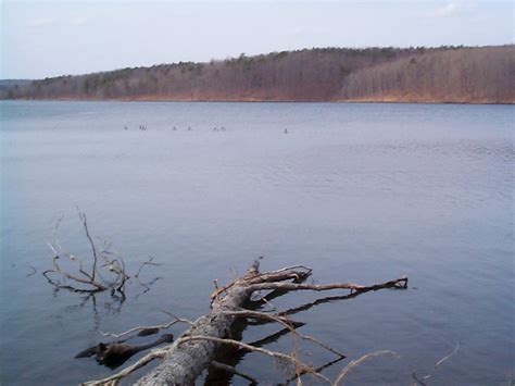 PHOTO GALLERY TWENTY-ONE: CRANE LAKE-CRANE POND CREEK SHUT-INS.