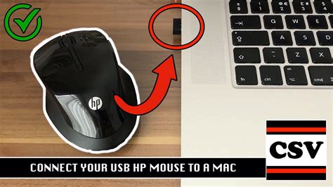 Image result for USB Mouse Installation