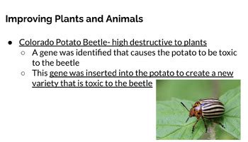 Sample Design for Biotechnology Notebook 的图像结果