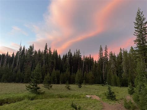 PCT week 10: Oregon Slackpacking and Skeeters - The Trek