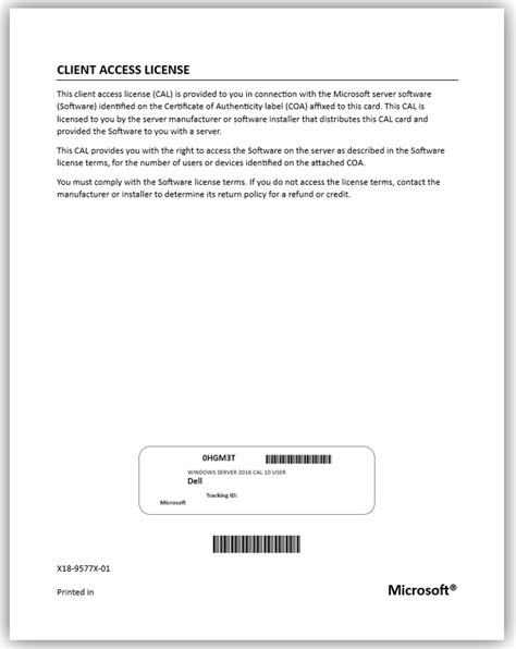 Image result for Client Access License Example