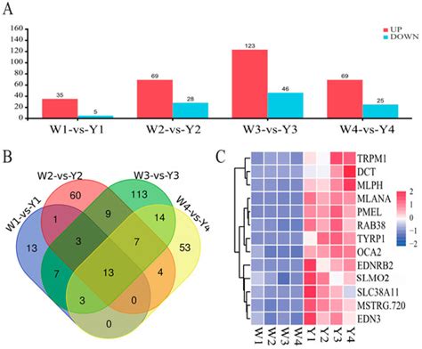 Dynamic Transcriptome Profile Analysis of Mechanisms Related to Melanin ...