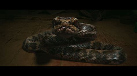 【FILM】King Serpent Island 蛇王岛