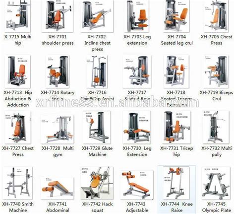 Image result for Leg Exercise Machine Names