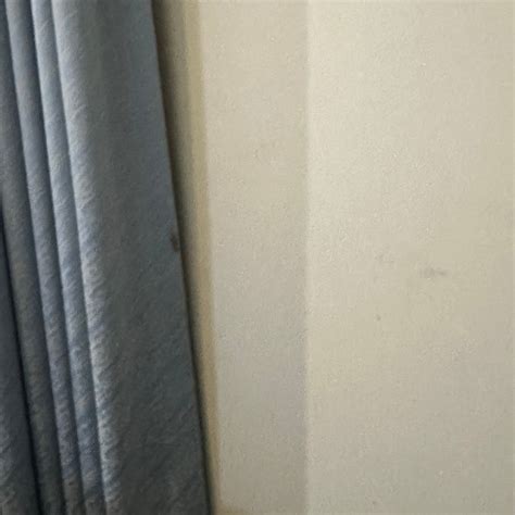 OCEAN CENTRE HOTEL (Geraldton) - Hotel Reviews, Photos, Rate Comparison ...