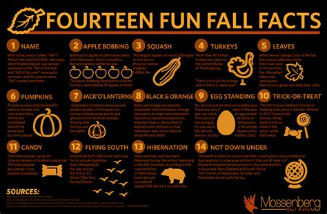 14 Fun Fall Facts | Fall facts, Fall fun, Fun
