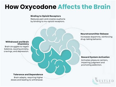 Oxycodone Addiction: Symptoms, Causes, Effects, Treatment