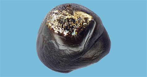 Alien Material 的图像结果