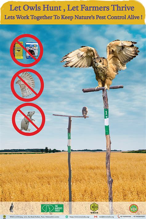 RAPTOR RESEARCH AND CONSERVATION FOUNDATION