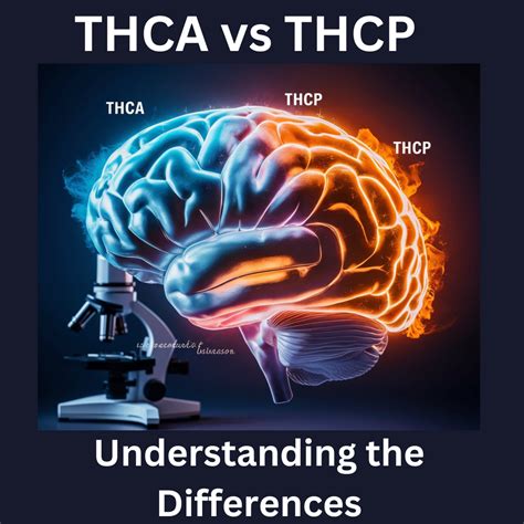 THCA vs THCP: Understanding the Differences – Triangle Hemp Wellness