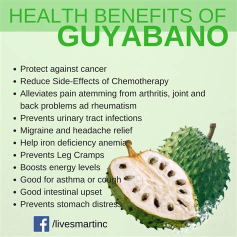 Soursop Health Benefits - Twin Fruit