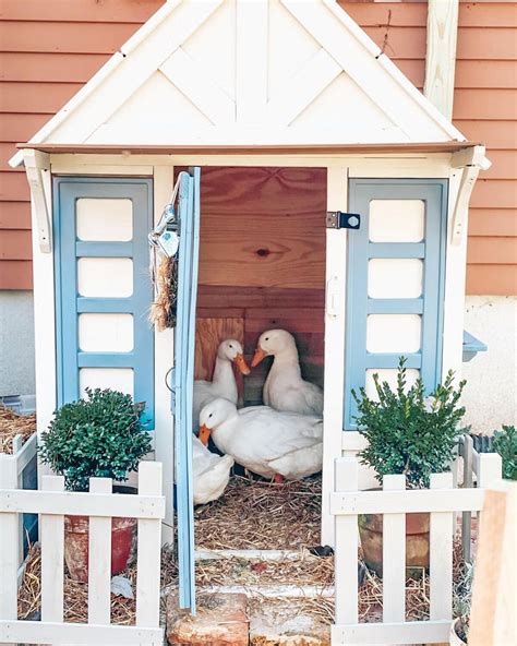 20 Creative Duck House Ideas for a Stunning Backyard in 2025 | Duck ...
