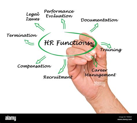 HR Function Definition 的图像结果