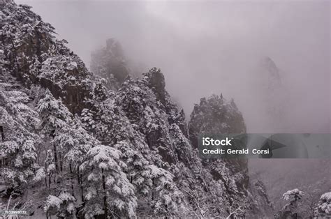 China Mountain 的图像结果