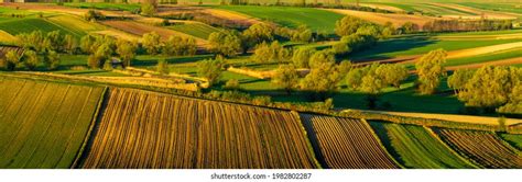 Extensive Farming 的图像结果