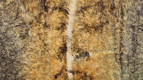 Future Retrospective | Meer