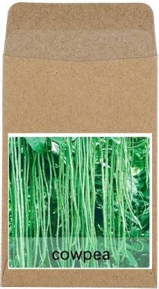 CYBEXIS Hybrid Cowpea Beans Seeds200 Seeds Seed Price in India - Buy ...