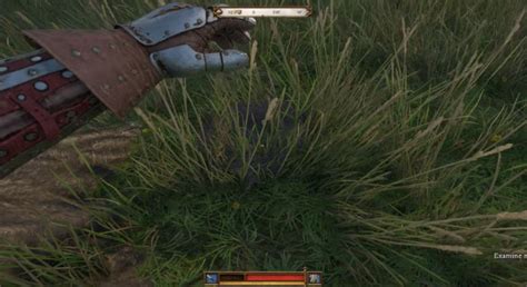 How to Knock Down Bird Nests w/o a Bow in Kingdom Come: Deliverance II