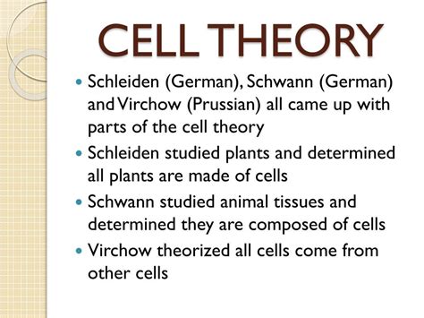 Image result for Cell Theory Explained