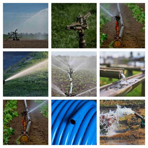 Irrigation Classes 的图像结果