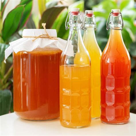 How to make Kombucha with Japanese Green Tea - JapaneseGreenTea.in