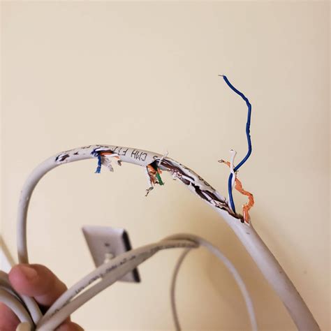 Chinchilla Wire Chewing: How to Protect Your Pet and Home - ChinHelp