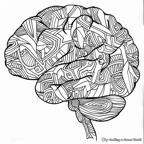Brain Coloring Pages Human Anatomy Printable Cerebro Para Cell Humano ...